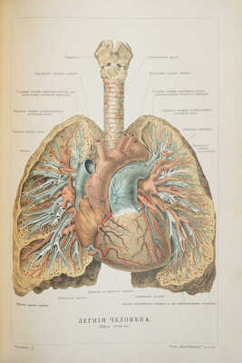 Ранке И. Человек. 3-е изд. В 2 т. Т. 1-2. СПб.: Т-во «Просвещение», 1903.